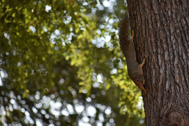 在現代足球 在現代足球