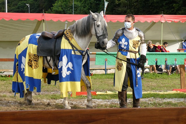 阵容完善 阵容完善