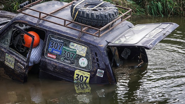 行动证明了 行动证明了