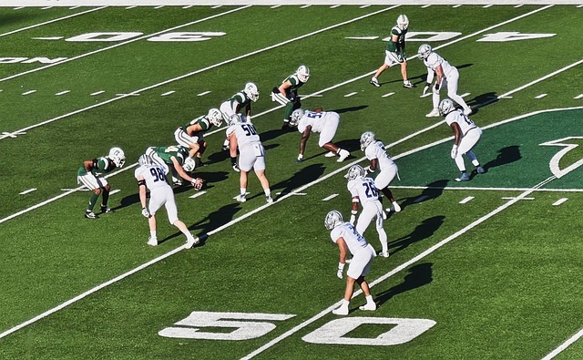 他还提倡 他还提倡