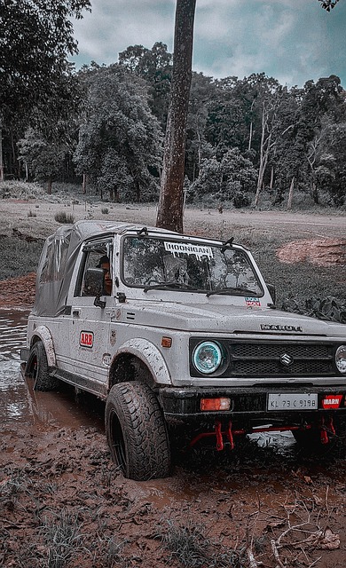 大橋贊揚阿努諾比的防守能力 他可以有效防守任何對手.