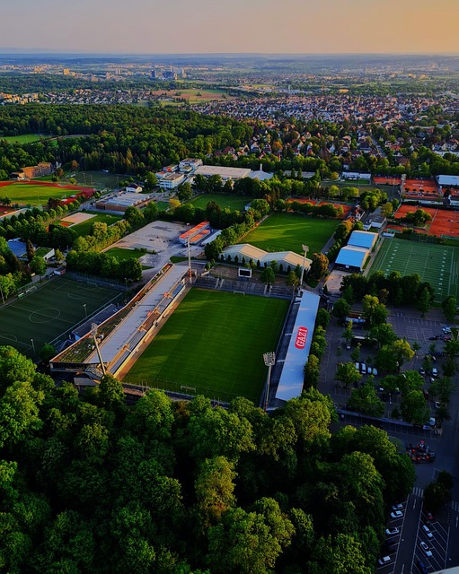 这种努力让 这种努力让